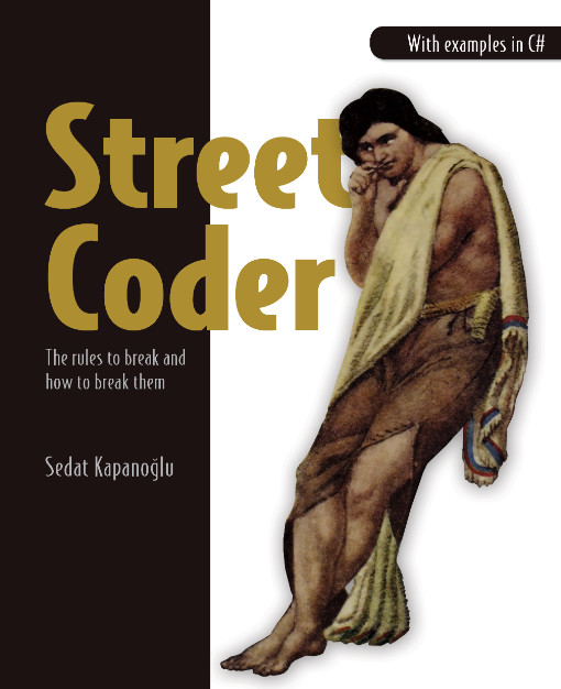 Street coder – about this book